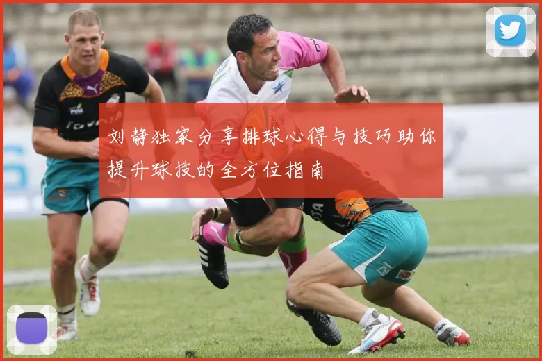 刘静独家分享排球心得与技巧助你提升球技的全方位指南