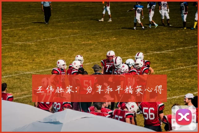 王伟独家：分享和平精英心得