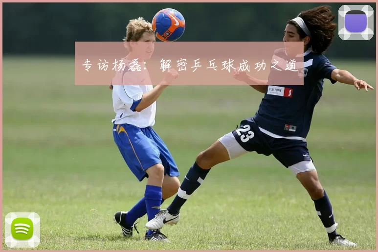 专访杨磊：解密乒乓球成功之道