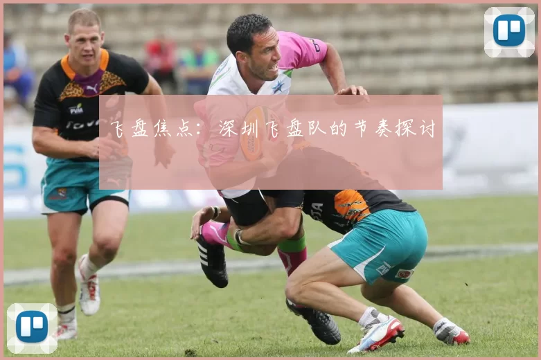 飞盘焦点：深圳飞盘队的节奏探讨