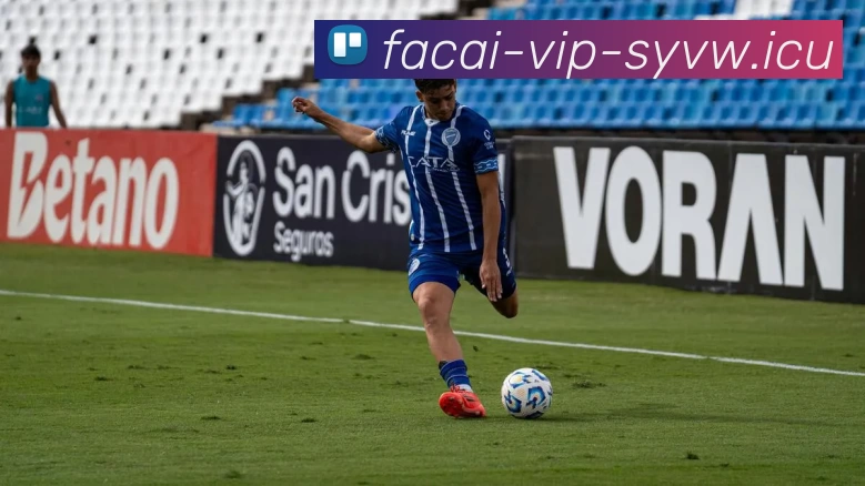 华体会体育平台生态图