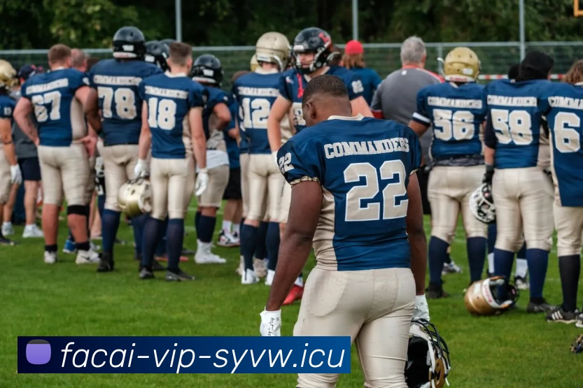 华体会体育APP 封面图